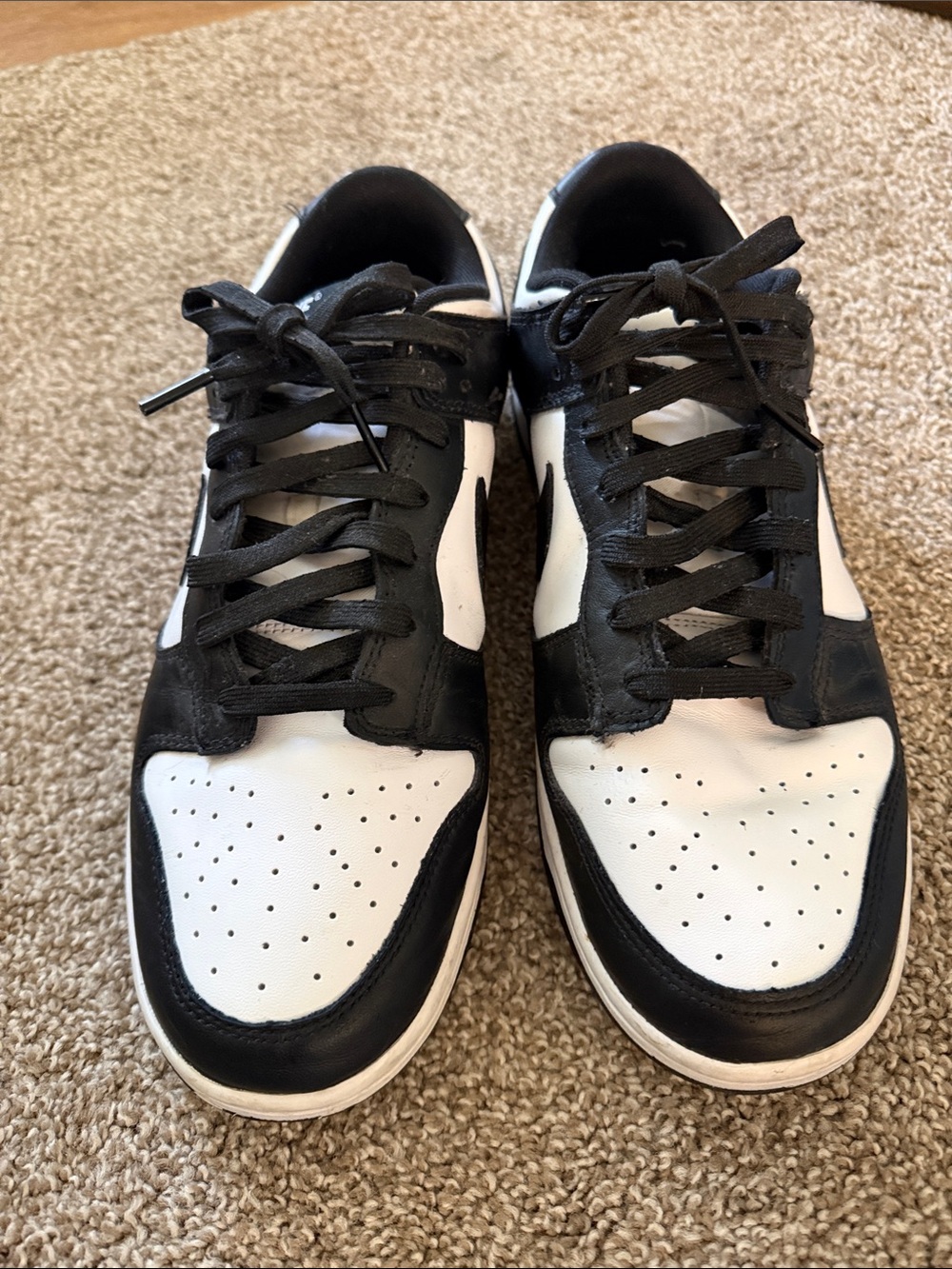 Nike Men’s Dunks